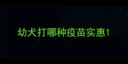 幼犬打哪种疫苗实惠