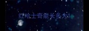 红哈士奇能长多大