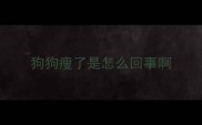 狗狗瘦了是怎么回事啊
