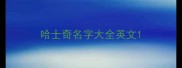 哈士奇名字大全英文