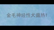金毛神经性犬瘟热