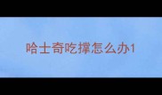 哈士奇吃撑怎么办