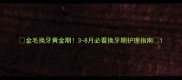 金毛换牙黄金期3-8月必看换牙期护理指南
