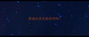 泰迪吃美毛粉有用吗