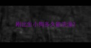 刚出生小狗多久能洗澡