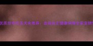 成都温江优质拉布拉多犬舍推荐血统纯正健康保障全家宠物生活首选