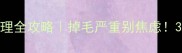 拉布拉多换毛期护理全攻略掉毛严重别焦虑3招让换毛季变顺毛季