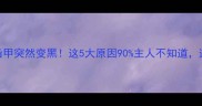 狗狗指甲突然变黑这5大原因90主人不知道速查