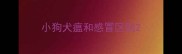 小狗犬瘟和感冒区别