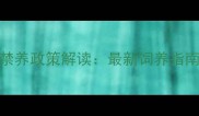 边境牧羊犬禁养政策解读最新饲养指南与替代方案