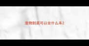 宠物到底可以坐什么车