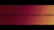拉布拉多犬种评估全指南从毛色到骨架的12项品相标准