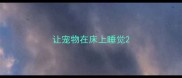 让宠物在床上睡觉