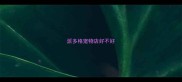 派多格宠物店好不好