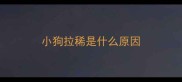 小狗拉稀是什么原因
