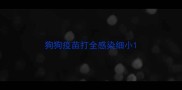 狗狗疫苗打全感染细小