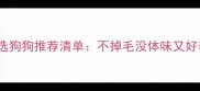 10种家庭首选狗狗推荐清单不掉毛没体味又好养的品种全