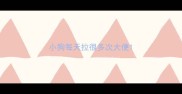 小狗每天拉很多次大便