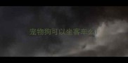 宠物狗可以坐客车么