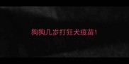 狗狗几岁打狂犬疫苗