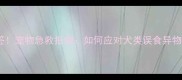 哈士奇误食烧烤竹签宠物急救指南如何应对犬类误食异物附兽医专业建议