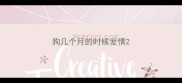 狗几个月的时候发情