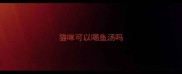 猫咪可以喝鱼汤吗
