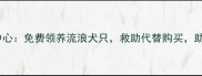 沈阳宠物狗领养中心免费领养流浪犬只救助代替购买助力城市文明养宠