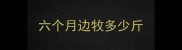 六个月边牧多少斤