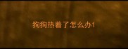 狗狗热着了怎么办
