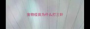 宠物疫苗为什么打三针