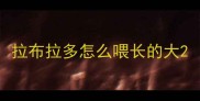 拉布拉多怎么喂长的大