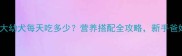 5个月大幼犬每天吃多少营养搭配全攻略新手爸妈必看