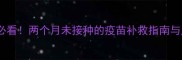 未打疫苗的宠物家长必看两个月未接种的疫苗补救指南与风险全科学养宠必读