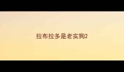 拉布拉多是老实狗