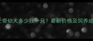 小哈士奇幼犬多少钱一只最新价格及饲养成本全