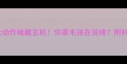 金毛犬十大动作暗藏玄机你家毛孩在说啥附科学训练指南