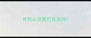 养狗必须要打疫苗吗
