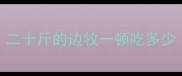 二十斤的边牧一顿吃多少