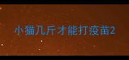 小猫几斤才能打疫苗
