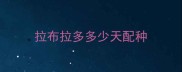 拉布拉多多少天配种