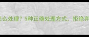 不想养的宠物怎么处理5种正确处理方式拒绝弃养传递温暖