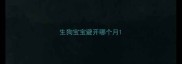 生狗宝宝避开哪个月