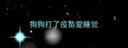 狗狗打了疫苗爱睡觉