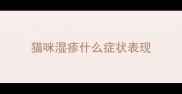 猫咪湿疹什么症状表现