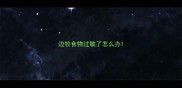 边牧食物过敏了怎么办