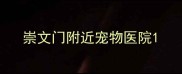 崇文门附近宠物医院
