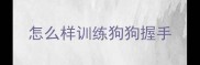 怎么样训练狗狗握手