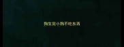 狗生完小狗不吃东西