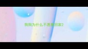 狗狗为什么不愿意回家